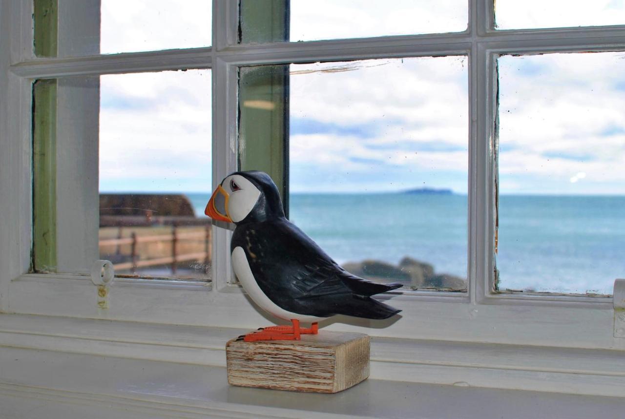 Aqua Vista- Seafront Cottage Cellardyke Anstruther Esterno foto